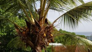 Paesaggio naturale nelle vicinanze dell'appartamento