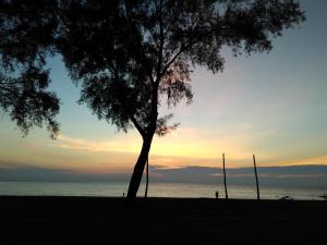 a tree on the beach with the sunset in the background at Homestay Memori in Dungun
