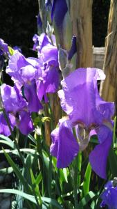 Photo de la galerie de l'établissement B&B Nautilus, à Puegnago