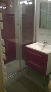 La salle de bains est pourvue d'une douche et d'un lavabo. dans l'établissement Appartement Pyrénées 2000, à Font-Romeu