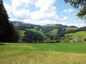 um campo verde com árvores e montanhas ao fundo em Schweighofers Almhaus em Heilbrunn