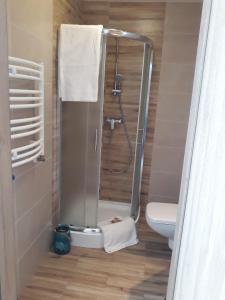 a small bathroom with a shower and a toilet at Pensjonat Godycki 2 in Pogorzelica