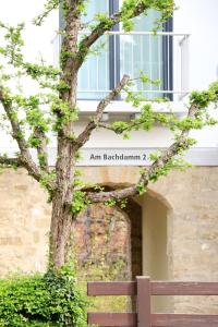 um banco em frente a um edifício com uma árvore em Alte Stadtmauer - Apartment em Sinsheim