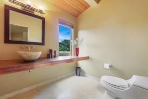 a bathroom with a sink and a toilet and a mirror at Meadow House in Sea Ranch +31 photos