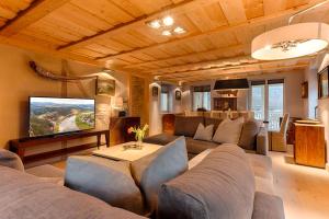 a living room with a couch and a tv at Bio-Apartments Villa Thusnelda in Bad Schandau