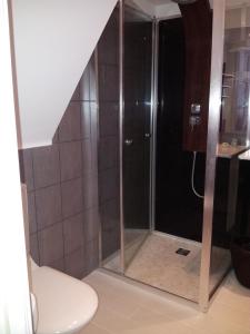 a shower with a glass door in a bathroom at Couleurs et jardin in Saint-Augustin