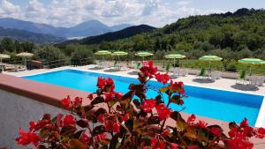 a resort swimming pool with mountains in the background at Bel Tempio in San Giovanni a Piro