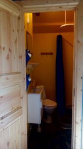 a bathroom with a toilet and a blue shower curtain at Villa Moni in Lungsjön