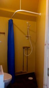 a bathroom with a shower with a blue shower curtain at Villa Moni in Lungsjön