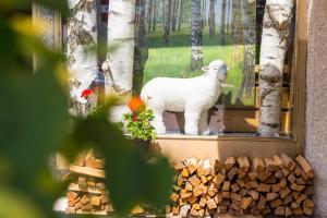 Ospiti di Hotel Weisses Lamm con animali domestici