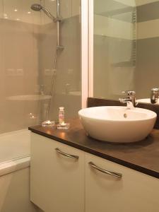 a bathroom with a white sink and a shower at Time to Ski - La Niche in Sainte-Foy-Tarentaise