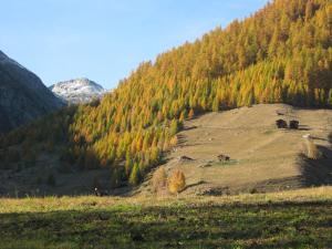 Paesaggio naturale nelle vicinanze dell'appartamento