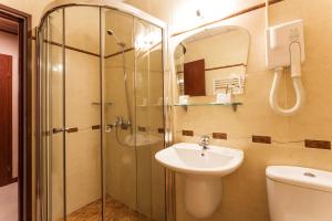 a bathroom with a shower and a sink at Hotel Villa Boyana - Free Parking in Sofia