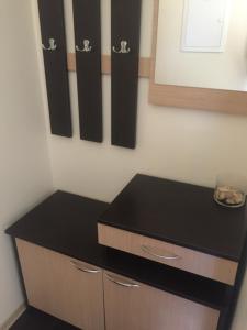 a kitchen with a black counter and a wall at Saulėti apartamentai in Palanga