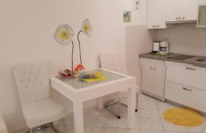 Kuchyň nebo kuchyňský kout v ubytování Apartment Rosana