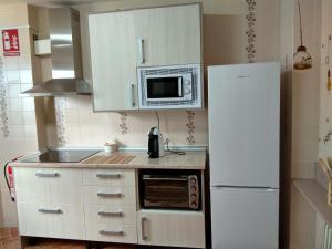 a kitchen with a white refrigerator and a microwave at Apartamento Isabel in Cuenca