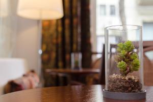 a plant in a glass vase on a table at 1412 Hotel Boutique in Rosario