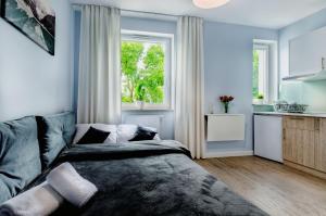 salon z łóżkiem i oknem w obiekcie Apartamenty Novomiejska 17 w mieście Lublin