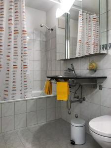 a bathroom with a sink and a toilet and a mirror at Ascona Principessa Apt 3 in Ascona +10 photos