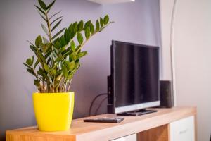 Televízia a/alebo spoločenská miestnosť v ubytovaní FUDA APARTAMENT BRUKSELSKA 11