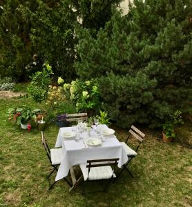 Zahrada ubytování Bürgerpark Apartments
