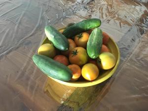 un tazón de frutas y hortalizas sobre una mesa en El Mirador del Chorrillo, en Olmeda de las Fuentes