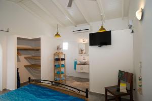 Habitación con piscina y TV en la pared. en Appartement bonaire, en Kralendijk