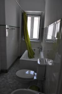 a bathroom with a toilet and a green shower curtain at A Casa do Mestre in Évora