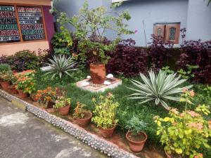 un giardino con piante e fiori di Galaxy Inn Guest House a Pokhara Altre 25 foto