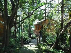 a path through a garden with trees and a building at Residence Villaggio Verde in Sorrento