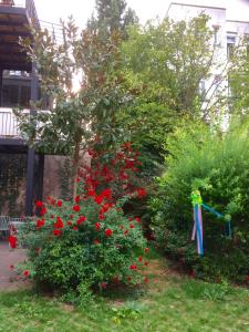 Un jardín fuera de Villa Schiller, 2 studios côté jardin - quartier Orangerie