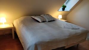 a bedroom with a bed with two tables and two lamps at Aalborg City Rooms ApS in Aalborg