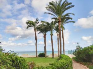 a row of palm trees on the beach at Alteasol playa in Altea