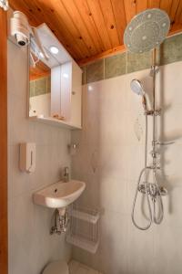 a bathroom with a sink and a shower at Evridiki's House Apartment and Studio in Pitsidia