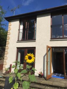 The building where the bed & breakfast is located 