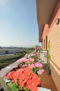 a row of flowers on the side of a building at Ático Dúplex en Delta de l'Ebre dos terrazas y balcón in Deltebre