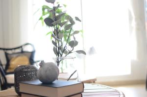 a table with a book and a vase with a plant at Apartment Hispamar in Alicante +17 photos