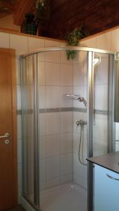 a shower with a glass door in a bathroom at Angela in Münster