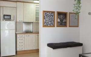 Kuchyň nebo kuchyňský kout v ubytování Apartments Mar de Tossa