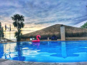 Piscina di Hotel Martini Kvariati o nelle vicinanze