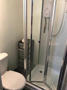 a bathroom with a shower and a toilet at Beach View Holiday Flats in Blackpool