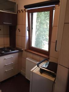 Kuchyň nebo kuchyňský kout v ubytování Cozy Park Studio in city center, Campina