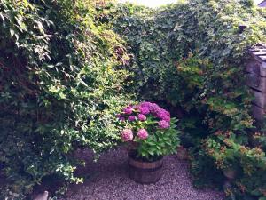 a flower pot with purple flowers in a garden at The Cottage in Belford +1 photo