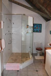 a bathroom with a glass shower with a toilet at Plotsklaps Self Catering Cottage in Tokai