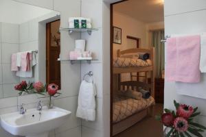 a bathroom with a sink and a mirror at Plotsklaps Self Catering Cottage in Tokai