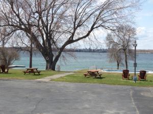 a park with benches and a tree and a lake at Windjammer Lodge in Ogdensburg