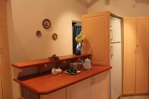 a kitchen with a counter top and a refrigerator at Plotsklaps Self Catering Cottage in Tokai