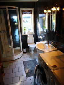 a bathroom with a shower and a toilet and a sink at House in the heart of the Lyngen Alps with Best view in Lyngseidet
