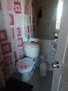Baño de color rosa con aseo y lavamanos en Departamento Viña del mar en Viña del Mar
