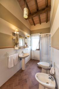 a bathroom with a sink and a toilet and a shower at Agriturismo Poggio Di Maremma in Pescia Romana